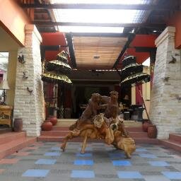 TheVillage_bgr's profile picture. meeting,gatheting,outing,outbound,party