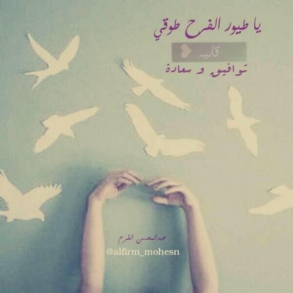 متفائلة رغم الظروف...أحب الحياة ...والحياة تحبني.