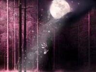 maudrieklisandr's profile picture. Disfruta la Vida!!!!