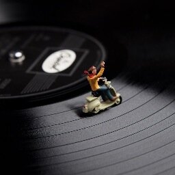 Artist. Taking picture of small things in a big world