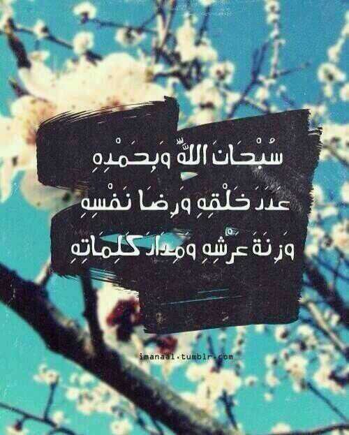 لا اله الا الله ~#الجنه_دار_الخلود