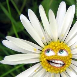 MehmetGlakan's profile picture. Kulaklık hayatın -Mute- tuşudur.