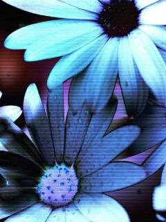 boo_yang's profile picture. самолюбие тешат, а самомнение чешут