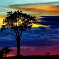 Clara Plasencia (@claplasencia) 's Twitter Profile