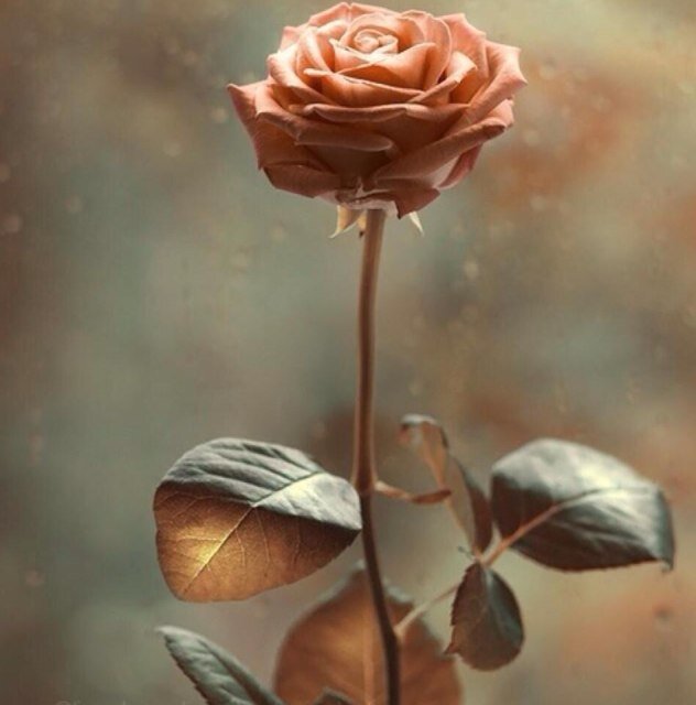 أجمَل الحَظّ أن تحظَىٰ بِـ قُلوبٍ تذكُرَك فِي دَعواتهآ حُبّاً❤️