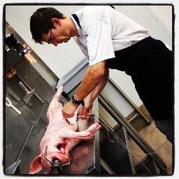 Caterer,Like Federer,Parent,Life Lover