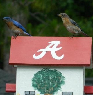 Retired GIS Manager Mobile County Revenue Comm. Love Alabama Football, fishing,hunting And Coffee.