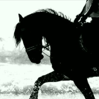 أشعار , خواطر , ادعيه ♥ / افتخر بكوني أنثى ♥♥