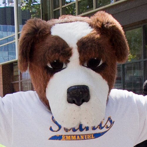 Emmanuel College Saints pride