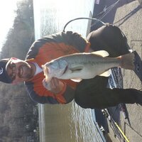 David Treece (@treece44) 's Twitter Profile