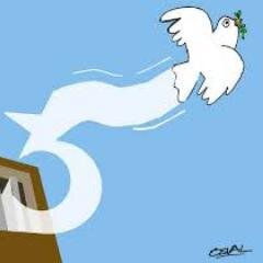 japon5freenow's profile picture. 