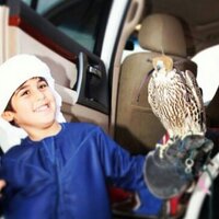 هيبة شيوخ (@mohamadalsaadi6) 's Twitter Profile