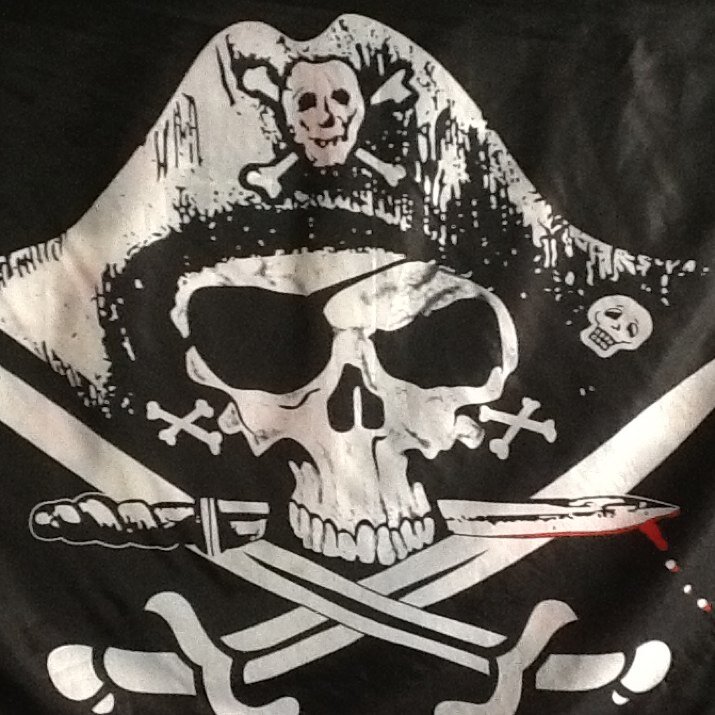 TheRealSwagFlag's profile picture. I am the textile representation of all things Bedford XC and Track.