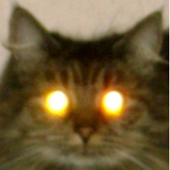 JeffBiSupport's profile picture. 