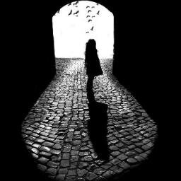 CglSuO's profile picture. Koc University