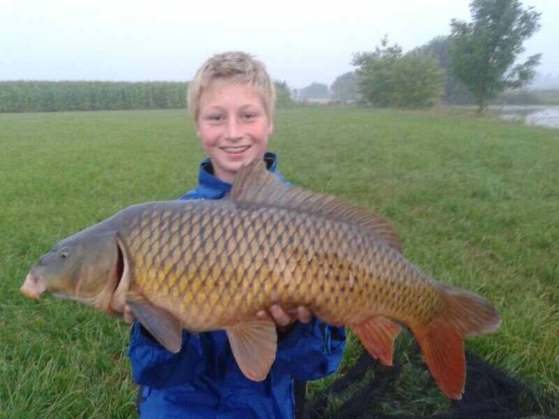 HA3B,marvilde C1, PSV