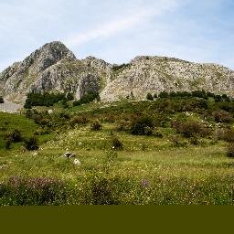 patxicine's profile picture. 