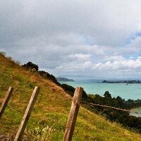 Nicola Hubbard (@mudfordhubbard) 's Twitter Profile Photo