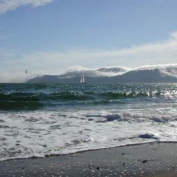 SDINS4's profile picture. 