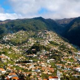 mmnproxo's profile picture. 