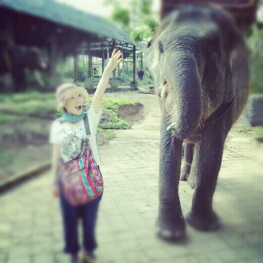 kazumo0416's profile picture. 一母といいます 音楽と映画が大好物です 
　                  　　　　




フジロック最高＼(^^)／