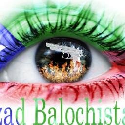 balachmajeedrin's profile picture. 