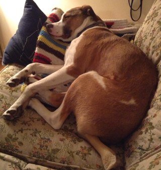 dcmarakis's profile picture. 