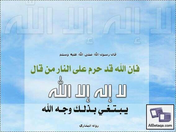 fjfjjfifkf's profile picture. 