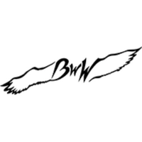 BadWeatherWaterfowl (@badweatherfowl) Twitter profile photo