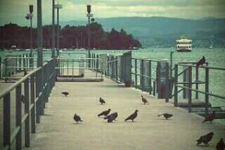 ‏‏‏‏‏الحمدلله على كل حال .. ♡