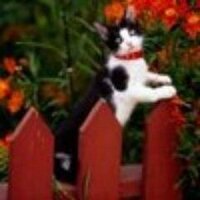 Егор Борисов (@diecrypsucma) 's Twitter Profile
