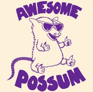 usi_possums's profile picture. The OFFICIAL page for the USI intramural dynasty team. Your source for team news, game scores, and a plethora of awesomeness. #stayawesome #yotp #ppd #gdi