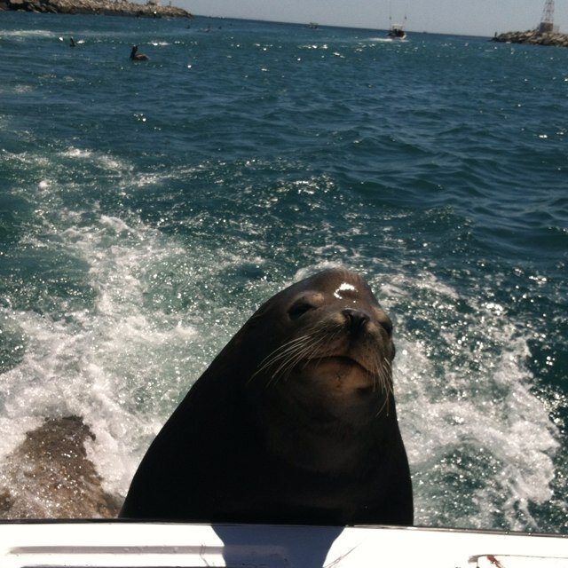 barbieo22's profile picture. 