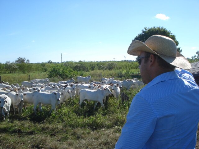 simprao de tudo!!