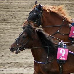 KaustisenNikula's profile picture. Kaustisen elinvoimainen ravikeskus. We aim to please.