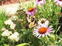 andrewmoskalflo's profile picture. Wandering around - travelling and eating Twinkies.