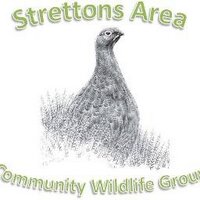 Strettons Wildlife (@strettonswild) 's Twitter Profile Photo