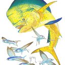 Josh Nye - @JoshN_WEMBA14 - Twitter