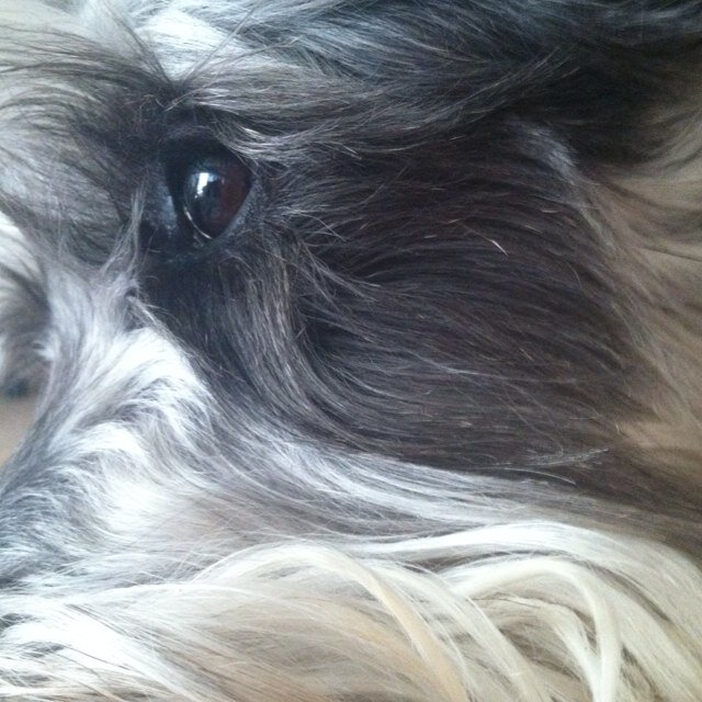 holguinyque's profile picture. 