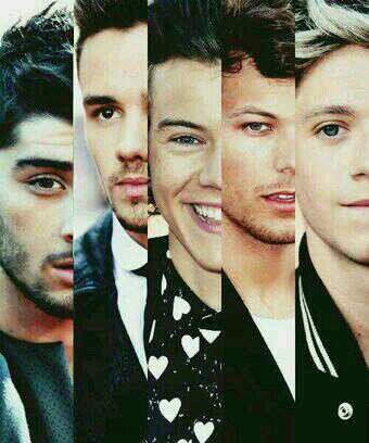 Cuenta dedicada a One Direction. Si te cojo algún twit pondre que la autora eres tú. ¿Me recomendais?