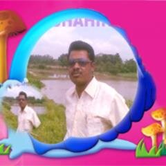 shiliportlive's profile picture. 