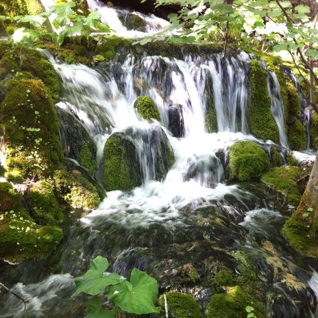 neuscasals's profile picture. 