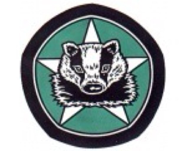 Official Twitter account of Blaenau RFC, also known as The Badgers.
