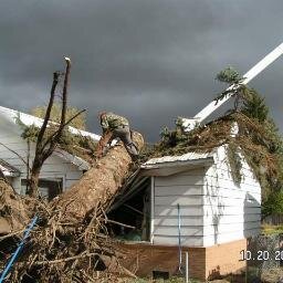 We offer a fully insured tree service with cheap rates and quality work. We offer daily labor rates, and strive to please our customers.