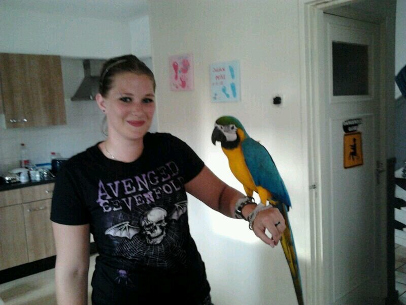 Kelly  / Avenged sevenfold XxxxX/ music is my life !