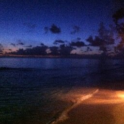 nysfla's profile picture. 