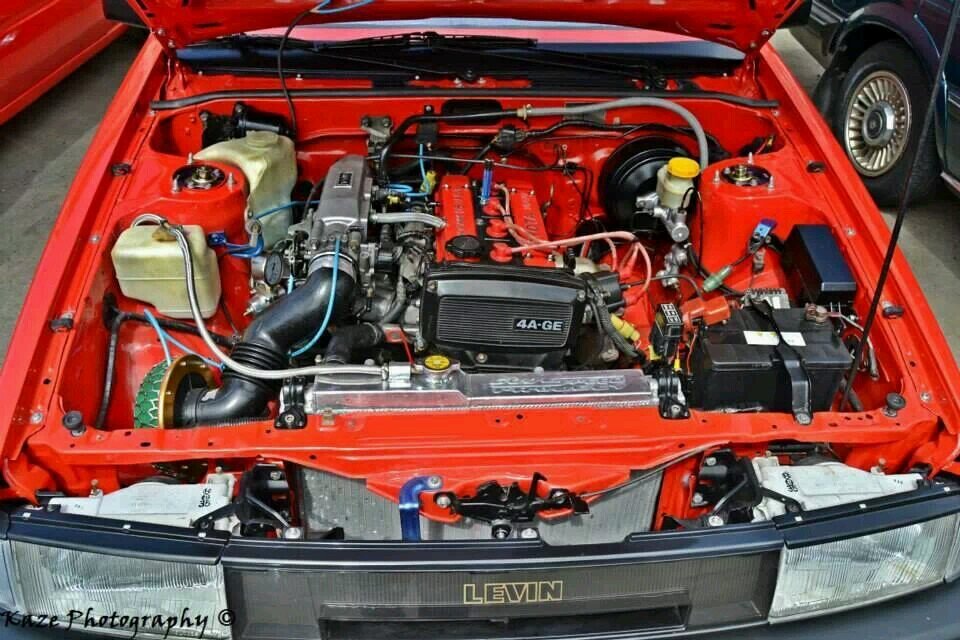 melo_chulo's profile picture. 