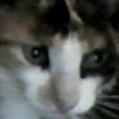 @ClubeFollowBack