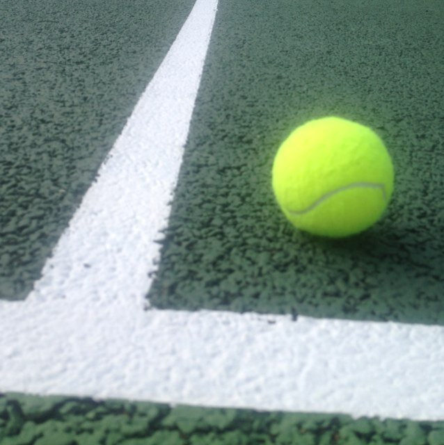 speedballtennis's profile picture. 