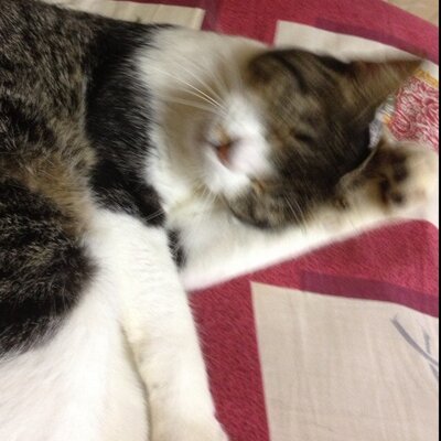 秋山 晴美 Aki863up Twitter